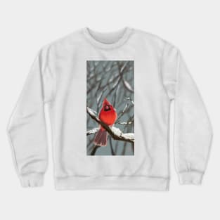 Cardinal in Snow Crewneck Sweatshirt